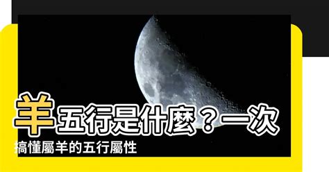 屬羊的五行|【屬羊五行】屬羊五行缺什麼？一文揭曉屬羊五行屬性、相合相剋。